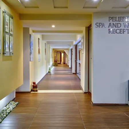 гранд янтра Велико Търново